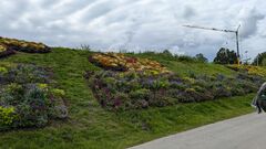 20240717 wangen 06