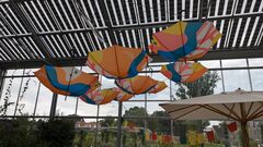 20240717 wangen 36