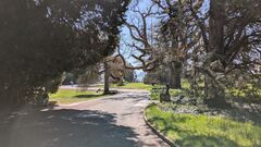 20250411 Mainau 06