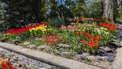 20250411 Mainau 09