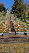 20250411 Mainau 35