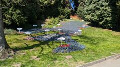 20250411 Mainau 36