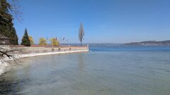 20250411 Mainau 37