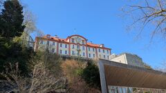 20250411 Mainau 38